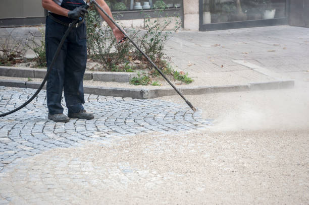 Best Driveway Pressure Washing  in Wailua Homesteads, HI